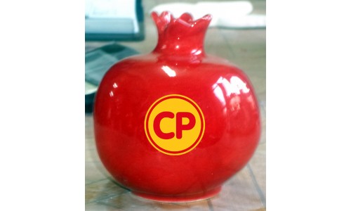 CP PİLİÇ