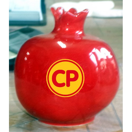 CP PİLİÇ